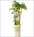 ��ǰ�̹����� ������ ���ڷ�, �ɟ��� �߰��� �� �ֽ��ϴ�.������� : ����, �д�, ����, ��õ, �Ⱦ�,������, �ϻ�, ��������
