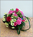 ��ǰ�̹����� ������ ���ڷ�, �ɟ��� �߰��� �� �ֽ��ϴ�.������� : ����