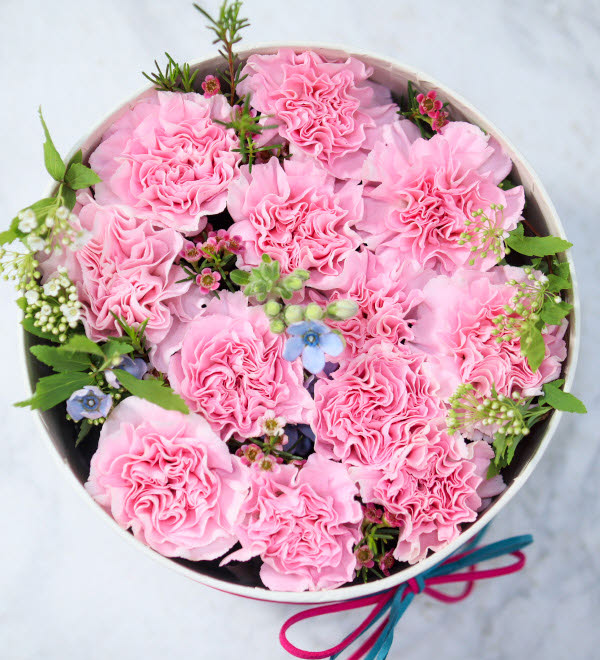 상품이미지를 누르면 초코렛, 케잌을 추가할 수 있습니다. 배송지역 : 서울 및 수도권[수도권은 추가 운임있음]