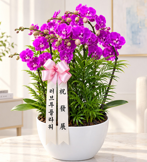 상품이미지를 누르면 초코렛, 케잌을 추가할 수 있습니다. 배송지역 : 