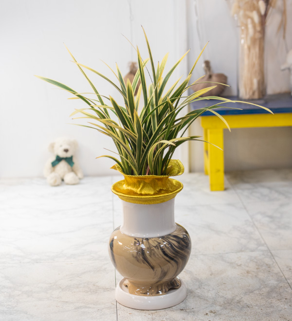 상품이미지를 누르면 초코렛, 케잌을 추가할 수 있습니다.배송지역 : 전국광역시, 수도권